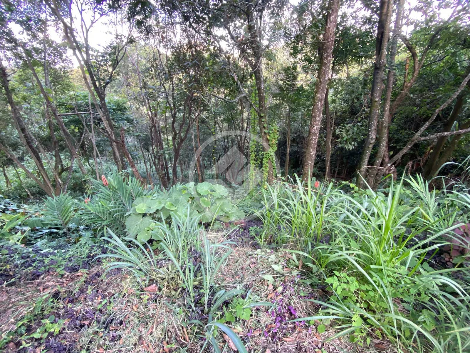 Lote em condomínio a venda — foto 4